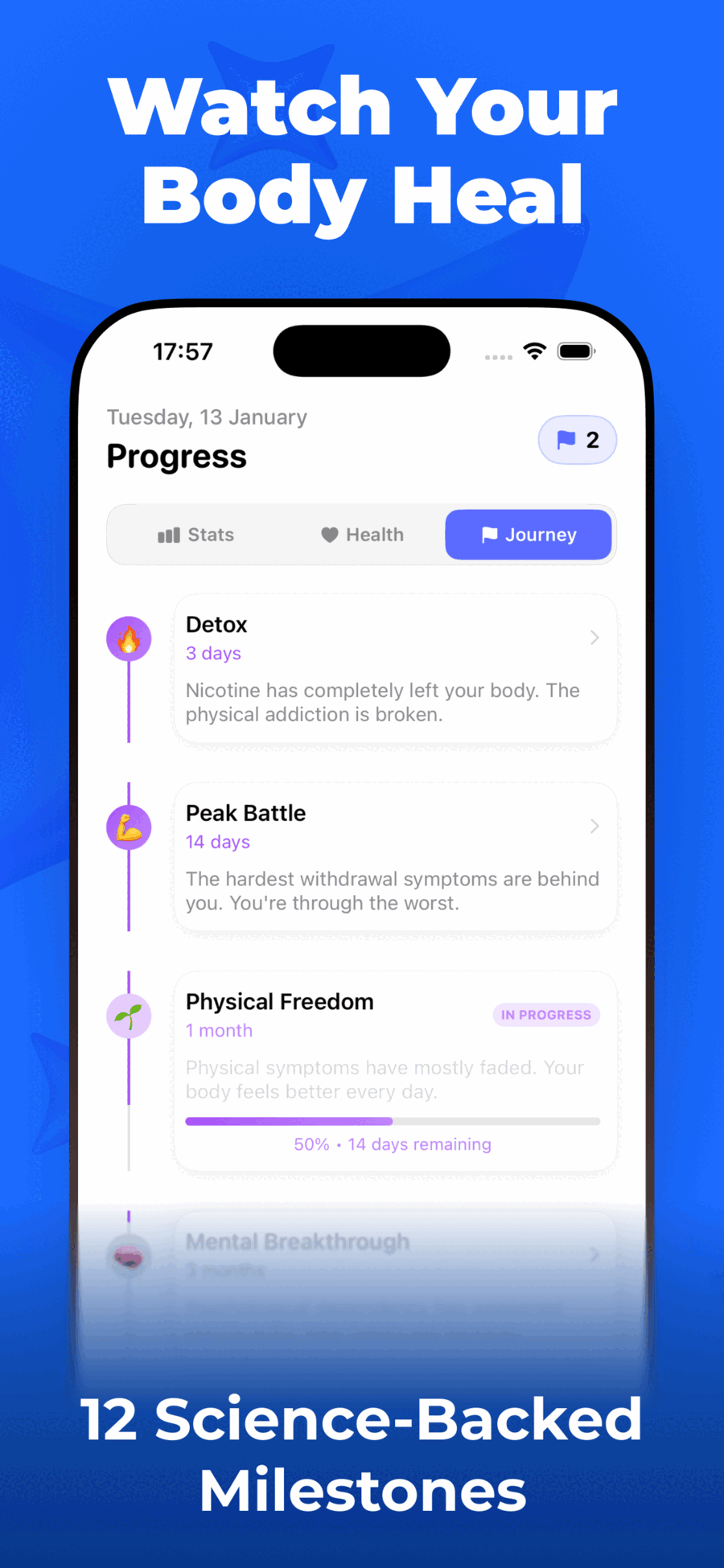 Puff Count quit journey showing 6 stages from Detox to Victory with progress tracking
